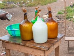 4 Best Traditional Cameroonian Drinks You Shouldn’t Miss